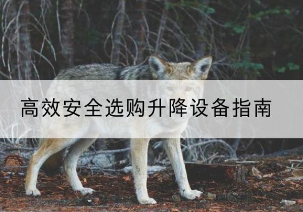 梅里斯升降货梯厂家推荐-*安全选购升降设备指南