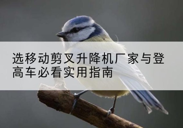 梅里斯电动升降机厂家-选移动剪叉升降机厂家与登高车必看实用指南